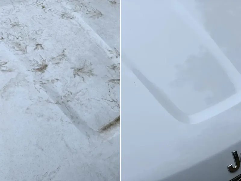 The same Jeep hood before and after a full detail in Kennesaw, dirt and paw prints on the left, clean gloss on the right